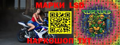 молекула духа Ногинск