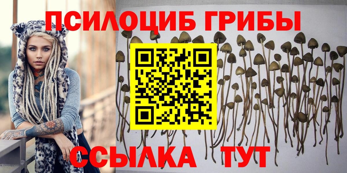 Галлюциногенные грибы MAGIC MUSHROOMS  Вход с VPN  Псилоцибиновые грибы ЛСД  Белово 